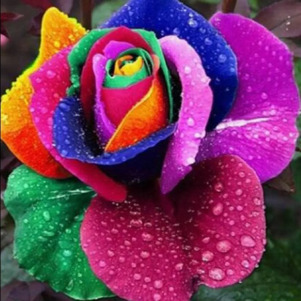 HAVE A BEAUTIFUL DAY.๐๐๐ - Picture 2 of 6